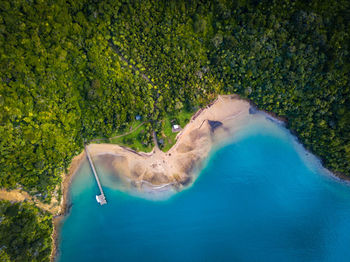 High angle view of sea amidst trees