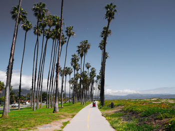 Empty road along plants and trees against sky