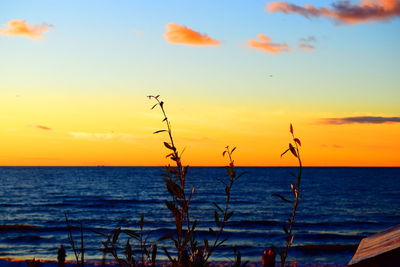 Scenic view of sea during sunset