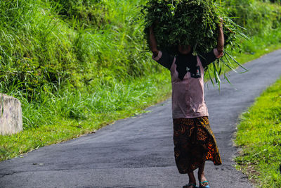 Rear view of woman walking on road amidst plants