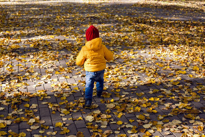 Boy in a yellow jacket and a red knitted hat stands in the autumn forest