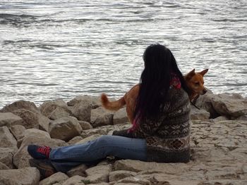 Dog on beach by sea