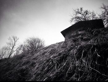 Low angle view of bare trees against the sky