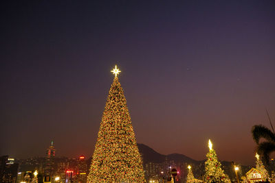 A christmas tree 20 meters long