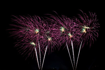 Low angle view of firework display at night