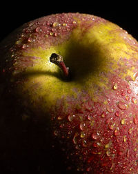 High angle view of wet apple on black background