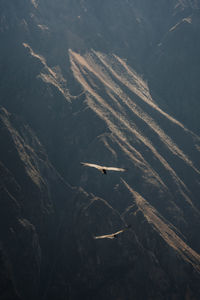 Aerial view of airplane