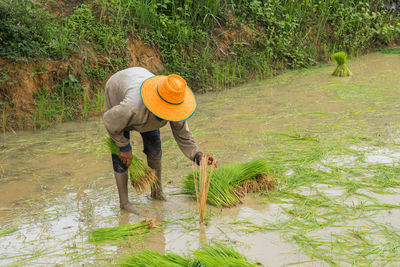 Woman working at farm