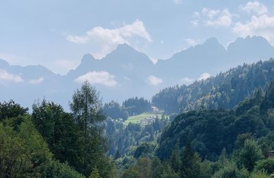 Panoramic view of trees and mountains against sky