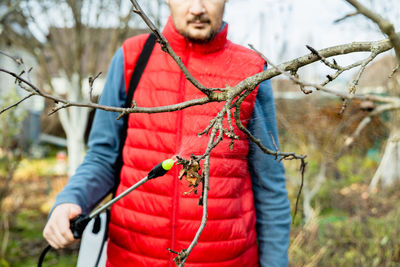 Spraying fruit trees with a pump sprayer with insecticides and fungicides in the spring season