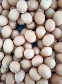Full frame shot of eggs