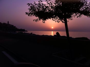 Silhouette of trees at sunset