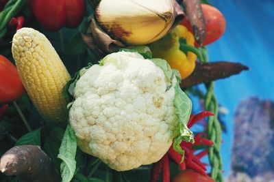 Close-up of vegetables