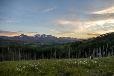 Trees on grassy field by mountain against sky during sunset