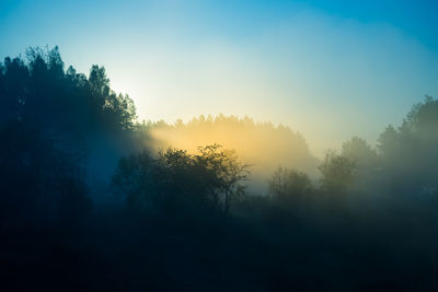 A misty sunrise landscape over the small river valley. summertime scenery of northern europe.