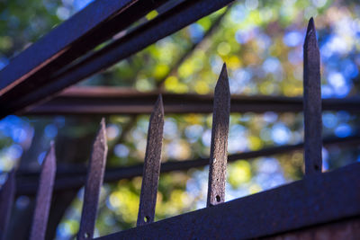 Close-up of rusty metal fence against plants