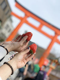 Hands holding delicious strawberries bought from the supermarket opposite the fushimi inari taisha 