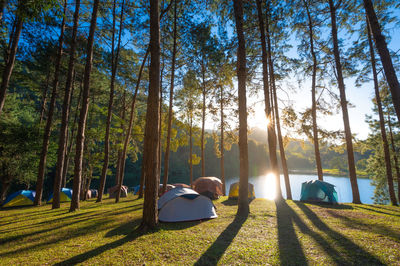 Tents on the camping ground at pang oung national park