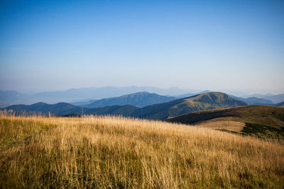 Scenic view of field against clear blue sky