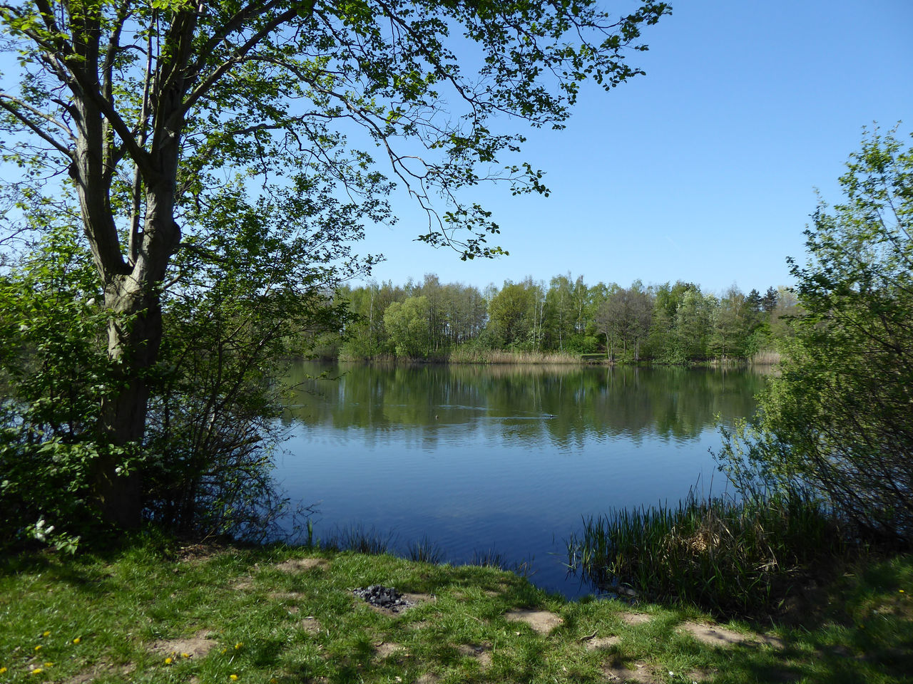 SCENIC VIEW OF LAKE AND TREES AGAINST SKY