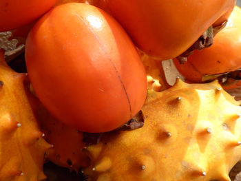 Detail shot of orange