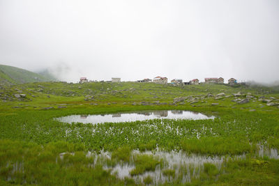 Scenic view of landscape against clear sky