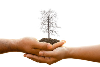 Midsection of people holding plant against sky