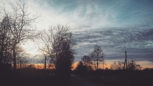 Silhouette of trees at sunset