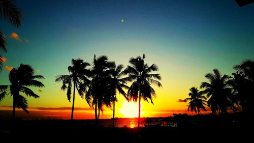 Silhouette palm trees on beach against sky during sunset