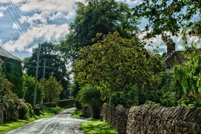 Country lane in edenhall 