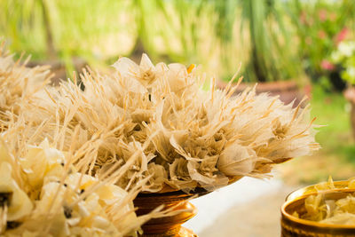 Close-up of yellow flowering plant on table