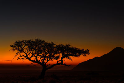 Silhouette tree against sky during sunset
