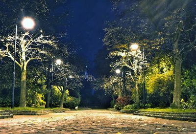 Illuminated street light by trees against sky at night