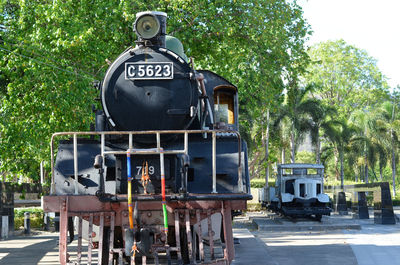 Train on railroad tracks by trees