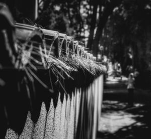 Close-up of wooden posts in water