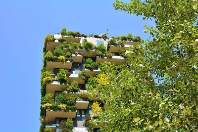 Low angle view of tree and building against clear sky