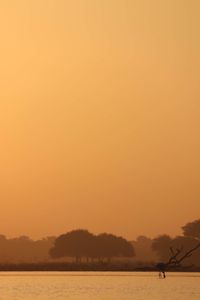 Silhouette person on land against sky during sunset