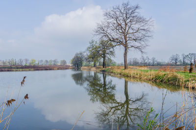 Scenic view of lake by trees against sky