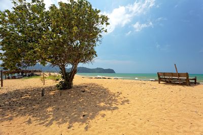 Trees on beach against sky