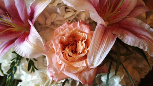 Close-up of rose bouquet