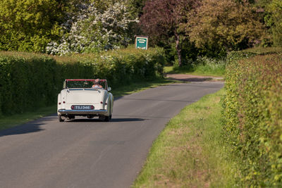 Car on road against trees and plants