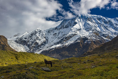 Scenic view of snowcapped mountains against sky