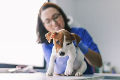 Close-up of dog in veterinarian clinic