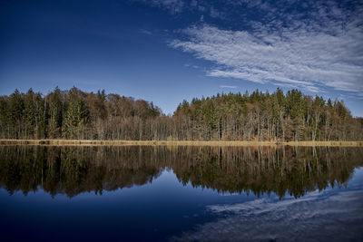 Reflection of trees in lake against sky in forest