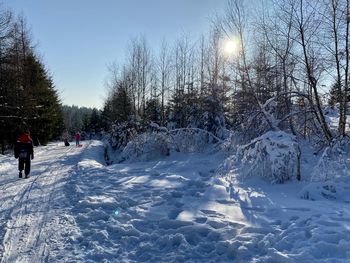 Snow covered field against sky