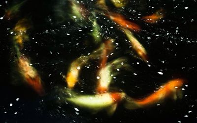 Full frame shot of tiled floor