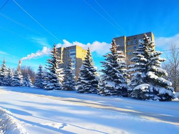 Snow covered trees and buildings against blue sky