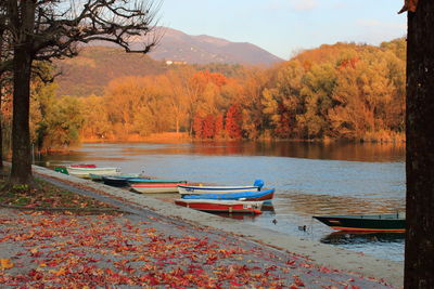 Boats moored in lake during autumn