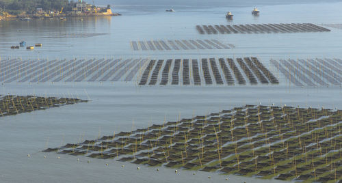 Seaweed farms at xiapu china