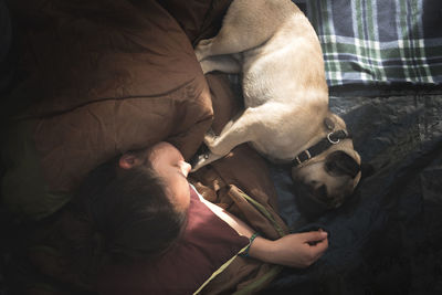 High angle view of dog relaxing on bed at home